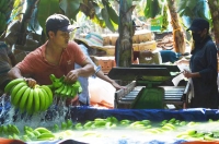 Thương lái Trung Quốc lùng mua đặc sản Việt: Cảnh báo 'bỏ bom'